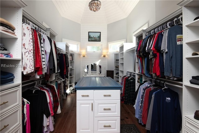 walk in closet with lofted ceiling and dark hardwood / wood-style flooring