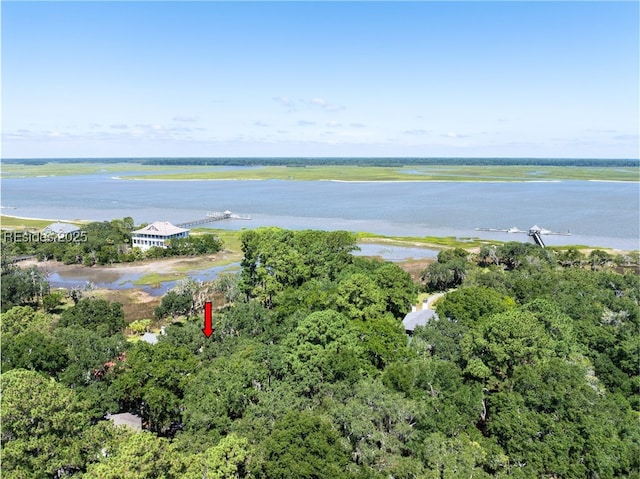 Listing photo 2 for 10 River Place Xing, Daufuskie Island SC 29915