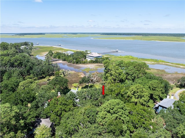 Listing photo 3 for 10 River Place Xing, Daufuskie Island SC 29915