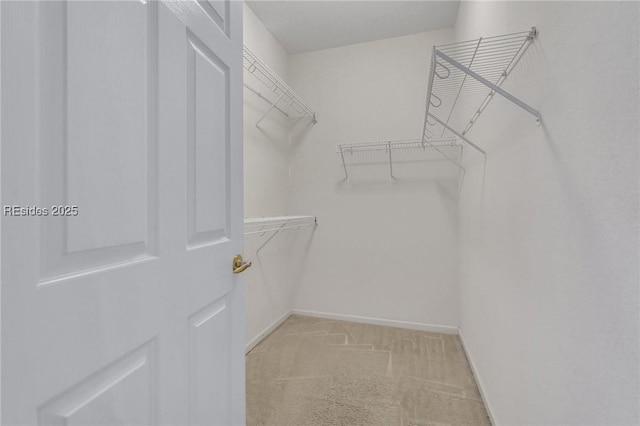 walk in closet featuring light colored carpet