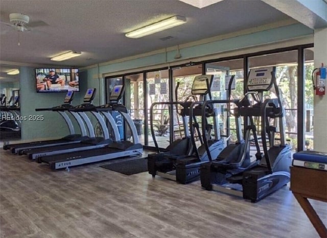 workout area with hardwood / wood-style floors and a textured ceiling