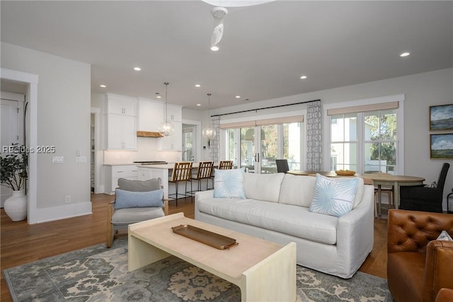 living room with hardwood / wood-style floors