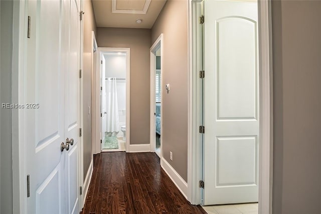 hallway with hardwood / wood-style floors