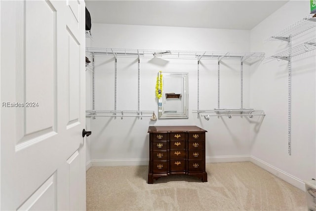 spacious closet with light carpet