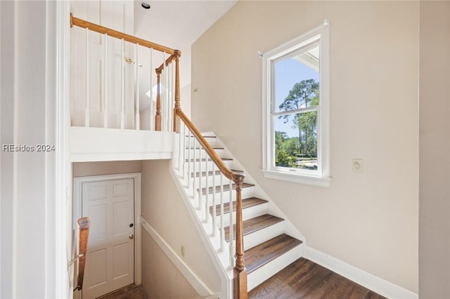 staircase with hardwood / wood-style flooring