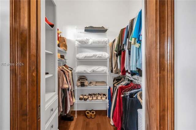 spacious closet featuring wood-type flooring