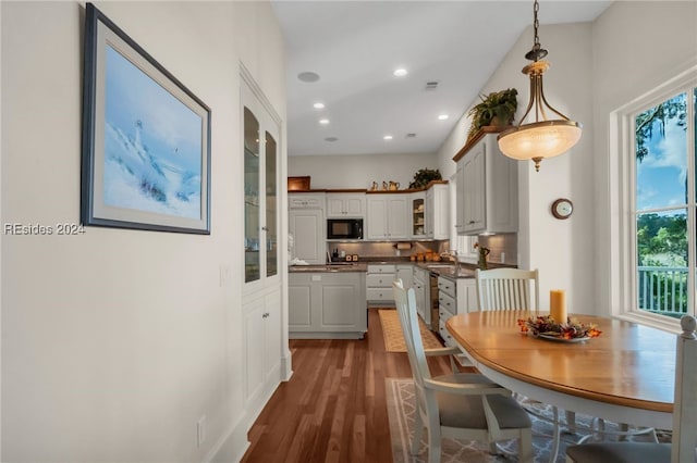 dining space featuring dark wood-type flooring and sink