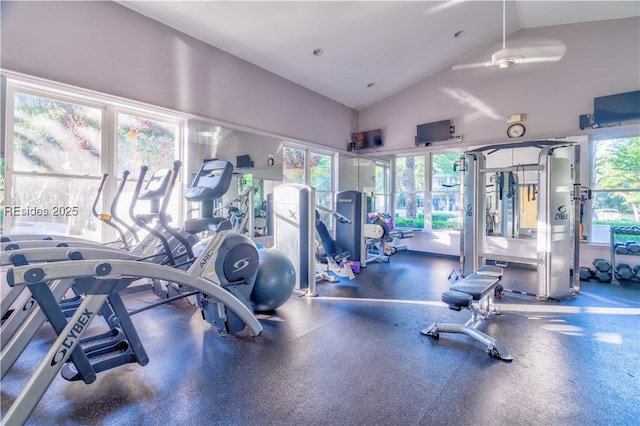 exercise room with high vaulted ceiling