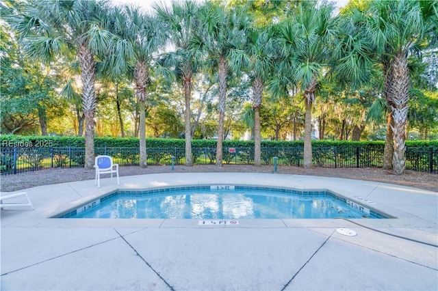 view of pool with a patio area