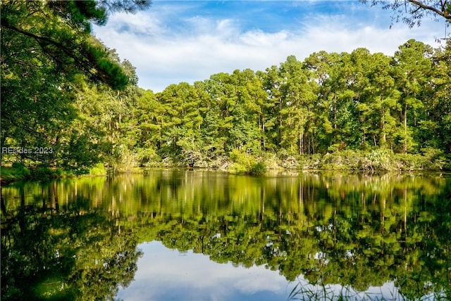 Listing photo 2 for 61 Amber Ln, Daufuskie Island SC 29915