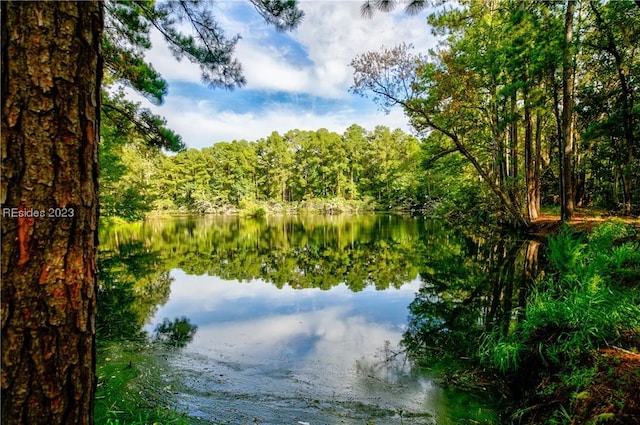 Listing photo 3 for 61 Amber Ln, Daufuskie Island SC 29915