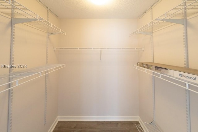 spacious closet with hardwood / wood-style flooring