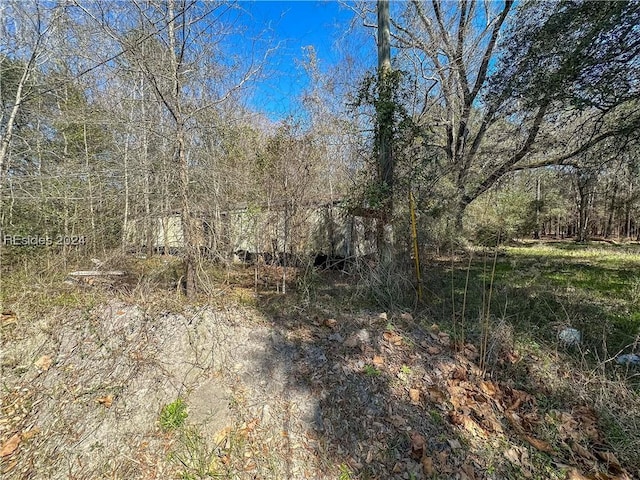 Listing photo 2 for 0 Myers St, Allendale SC 29810