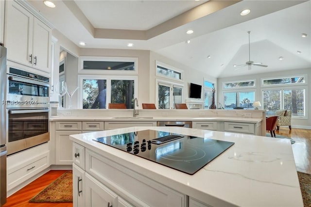 kitchen with light stone counters, sink, light hardwood / wood-style flooring, and appliances with stainless steel finishes