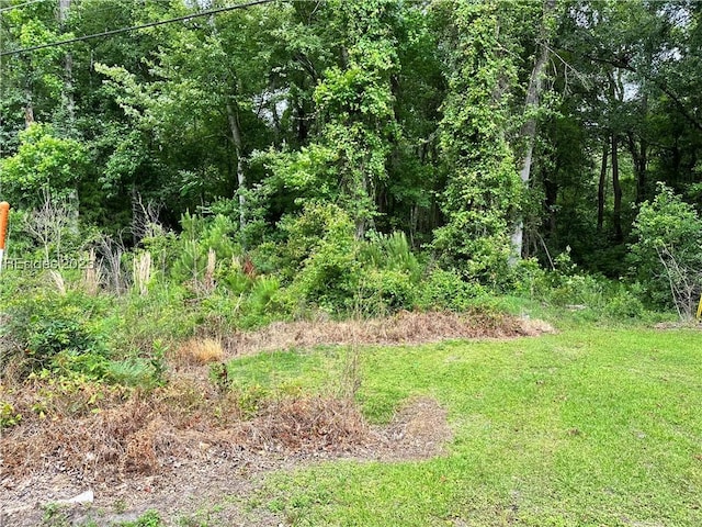 Listing photo 3 for LOT3 Goethe Hill Rd, Burton SC 29906