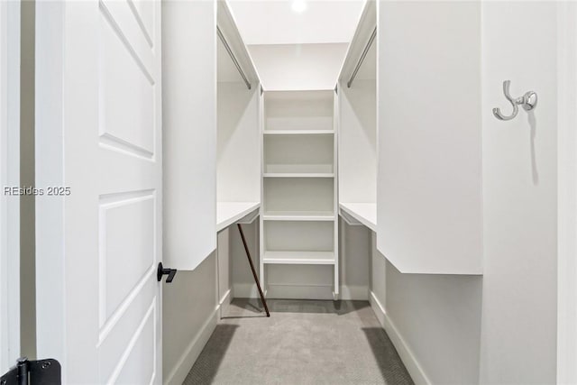 spacious closet featuring light carpet