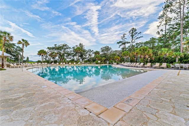 view of swimming pool with a patio