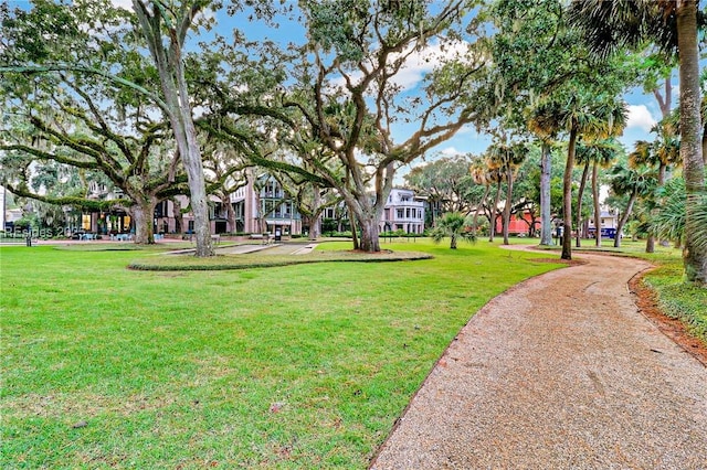 view of home's community with a yard