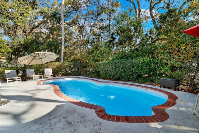 view of swimming pool with a patio