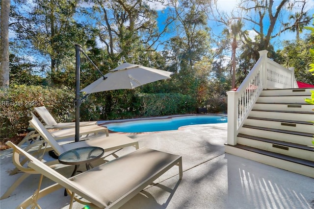 view of pool featuring a patio area