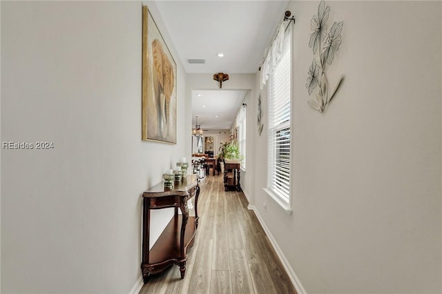 hallway featuring wood-type flooring