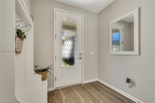 foyer entrance with wood-type flooring