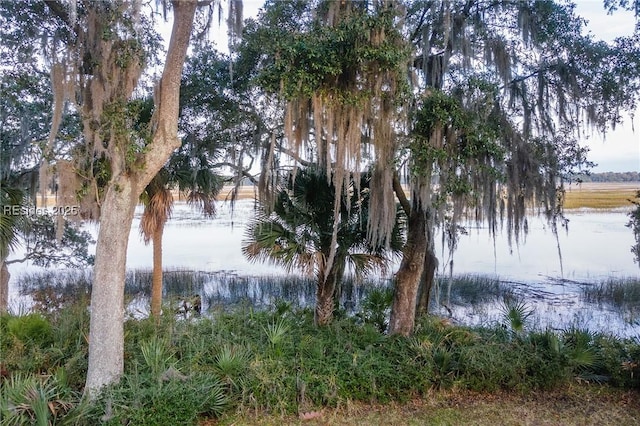 view of water feature