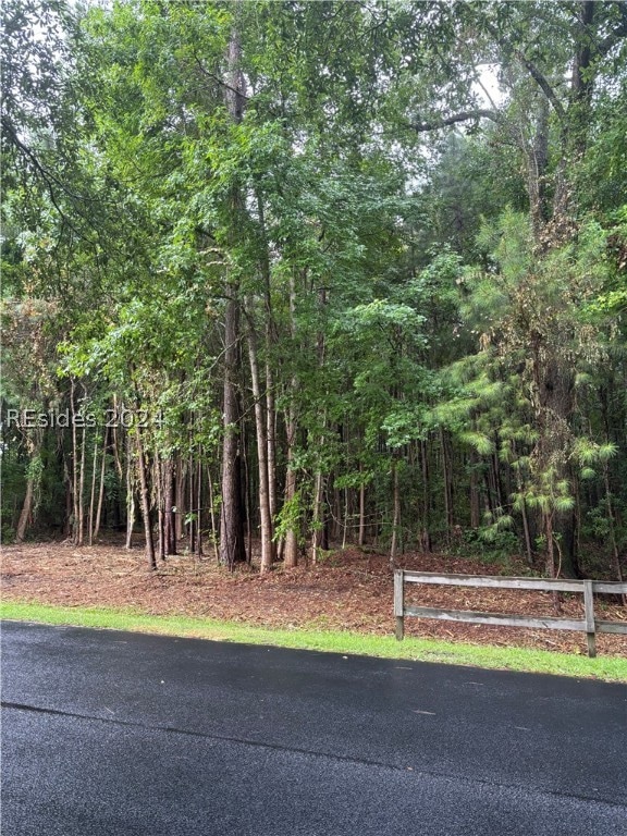 Graham Hall, Ridgeland SC, 29936 land for sale