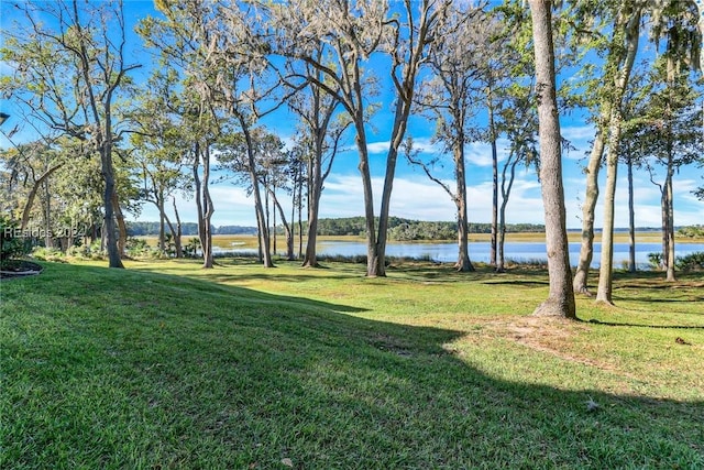 view of yard featuring a water view