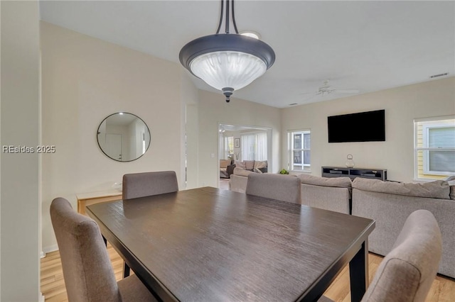 dining space featuring light hardwood / wood-style flooring and ceiling fan