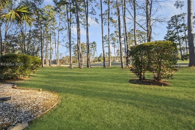 view of property's community with a yard