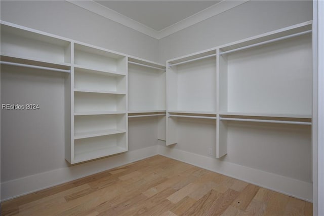 spacious closet featuring light wood-type flooring