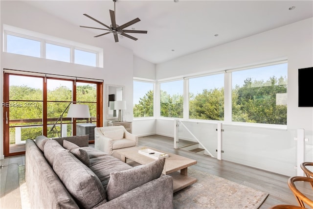 living room with hardwood / wood-style flooring, plenty of natural light, high vaulted ceiling, and ceiling fan