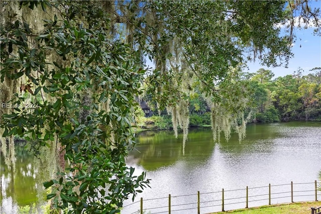 view of water feature