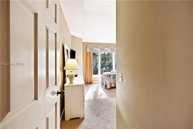 hall featuring high vaulted ceiling, light colored carpet, and a textured ceiling