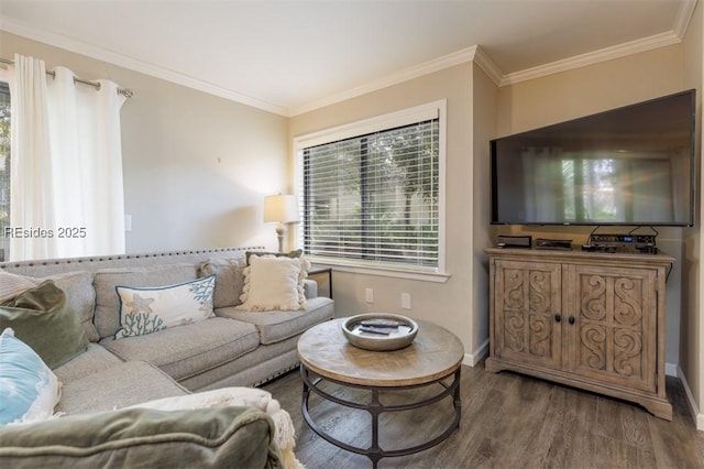 living room featuring hardwood / wood-style floors and crown molding