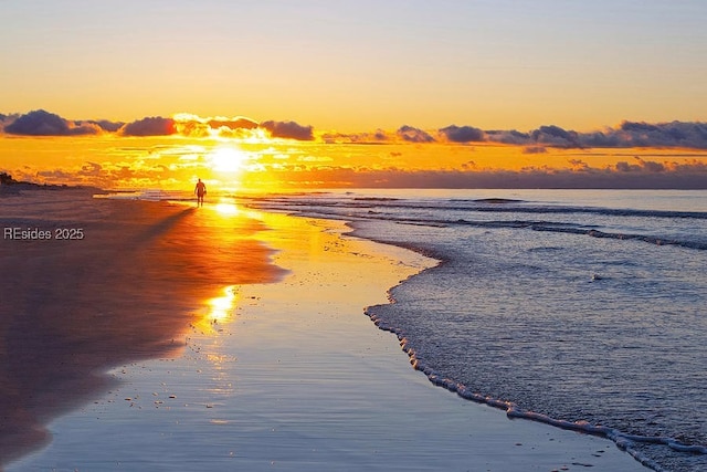 water view featuring a beach view