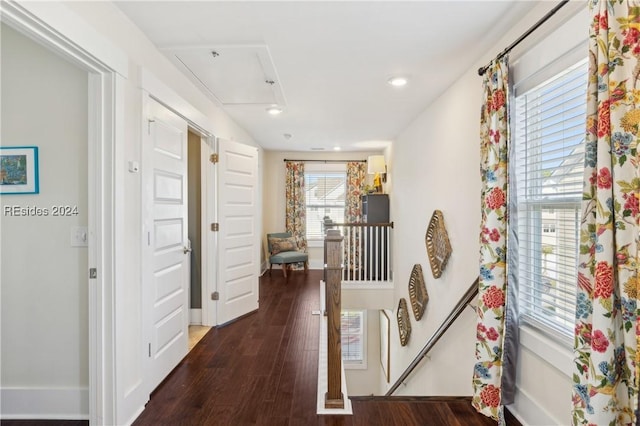 hallway with dark hardwood / wood-style floors