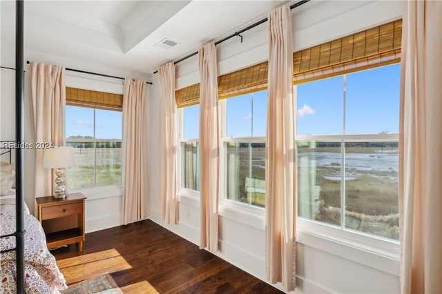 entryway featuring dark wood-type flooring, a water view, and plenty of natural light