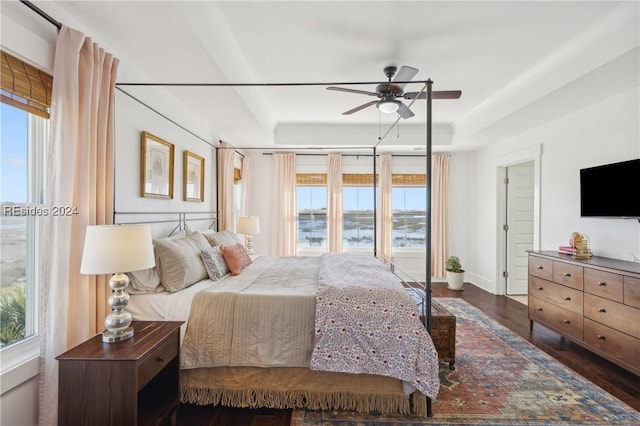 bedroom featuring a raised ceiling, dark wood-type flooring, ceiling fan, and multiple windows