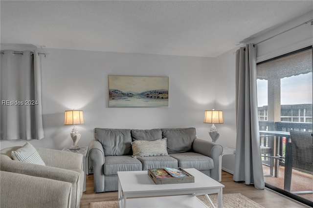 living room with light hardwood / wood-style flooring