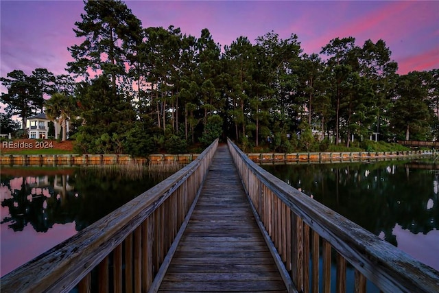 dock area featuring a water view