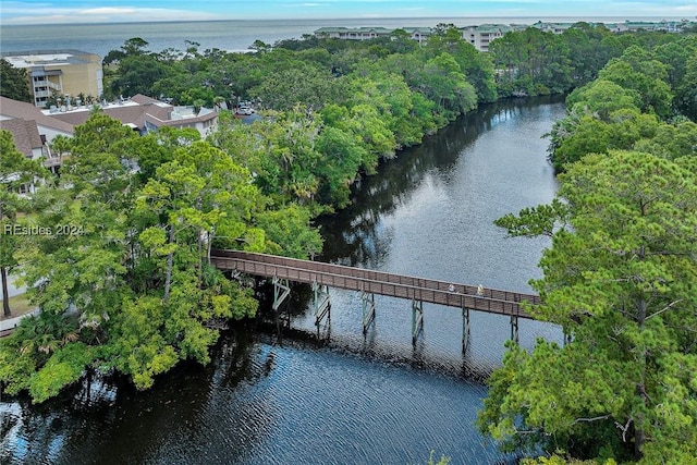 bird's eye view with a water view