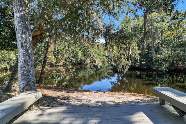 dock area featuring a water view