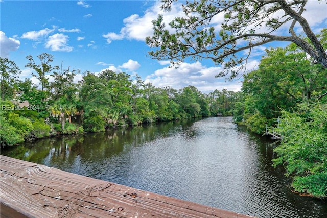 dock area featuring a water view