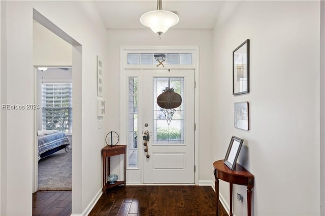 foyer entrance featuring dark wood-type flooring