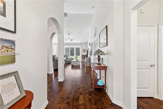 hallway featuring dark hardwood / wood-style flooring