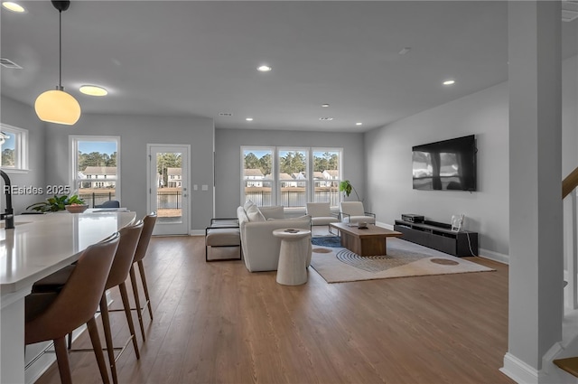 living room with wood-type flooring and a wealth of natural light