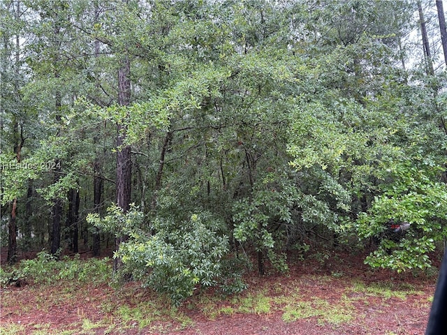 18 Timberland Rd, Ridgeland SC, 29936 land for sale