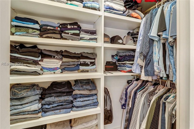 view of walk in closet